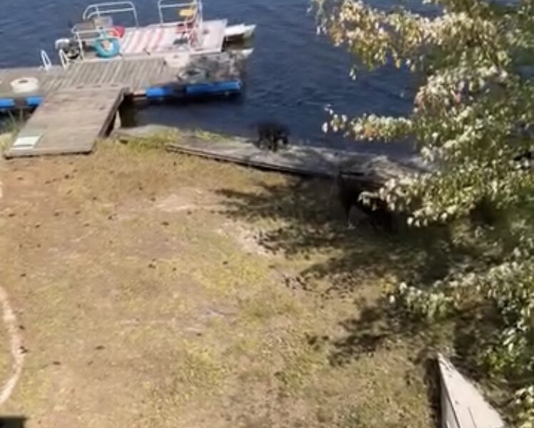 Roofing Job on a island near North Bay Ontario